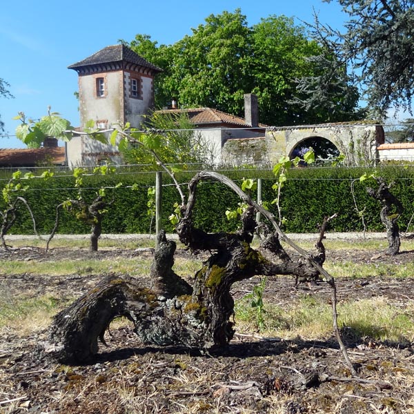 Château de Chasseloir